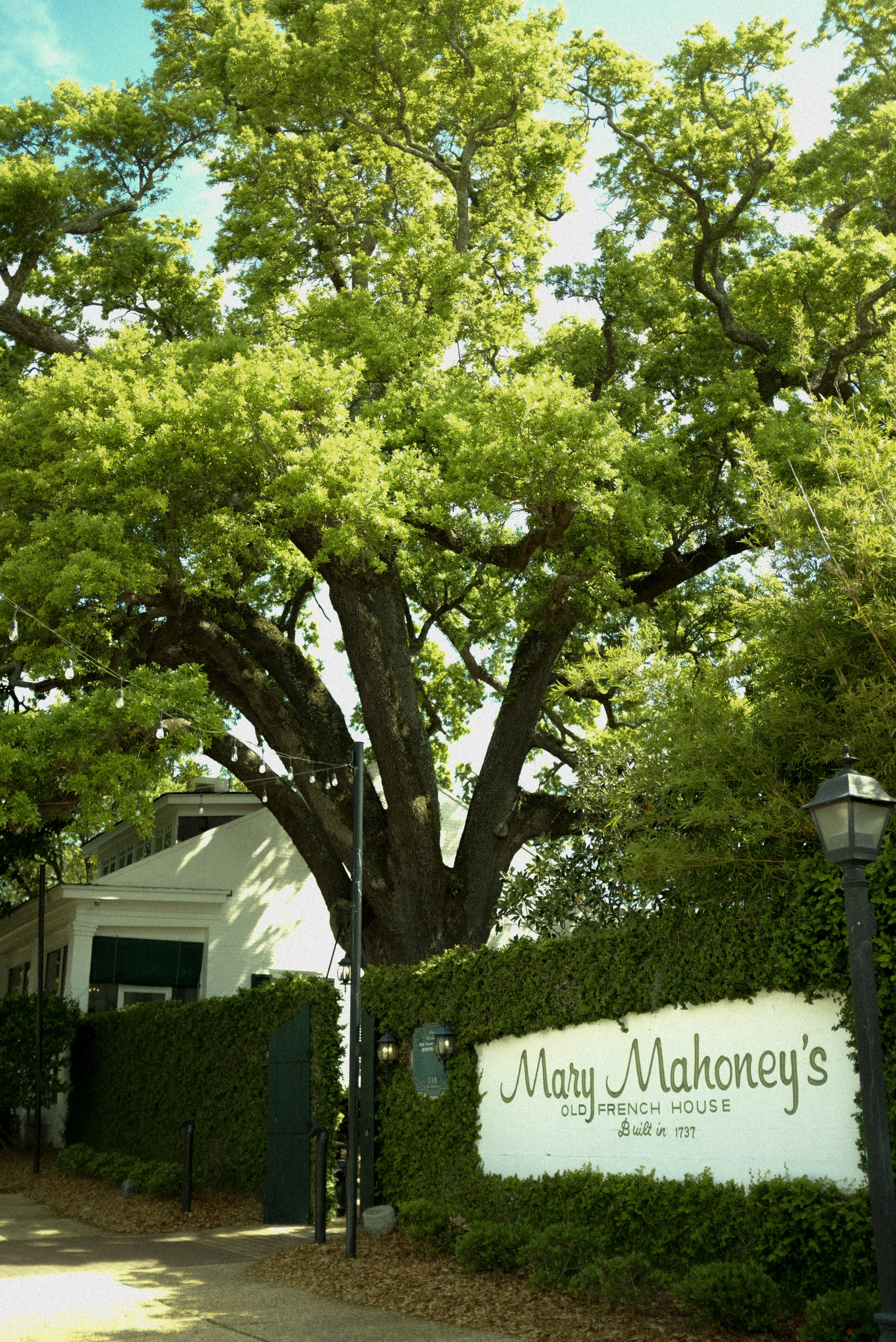 Dining & Drinks in Biloxi, Mississippi